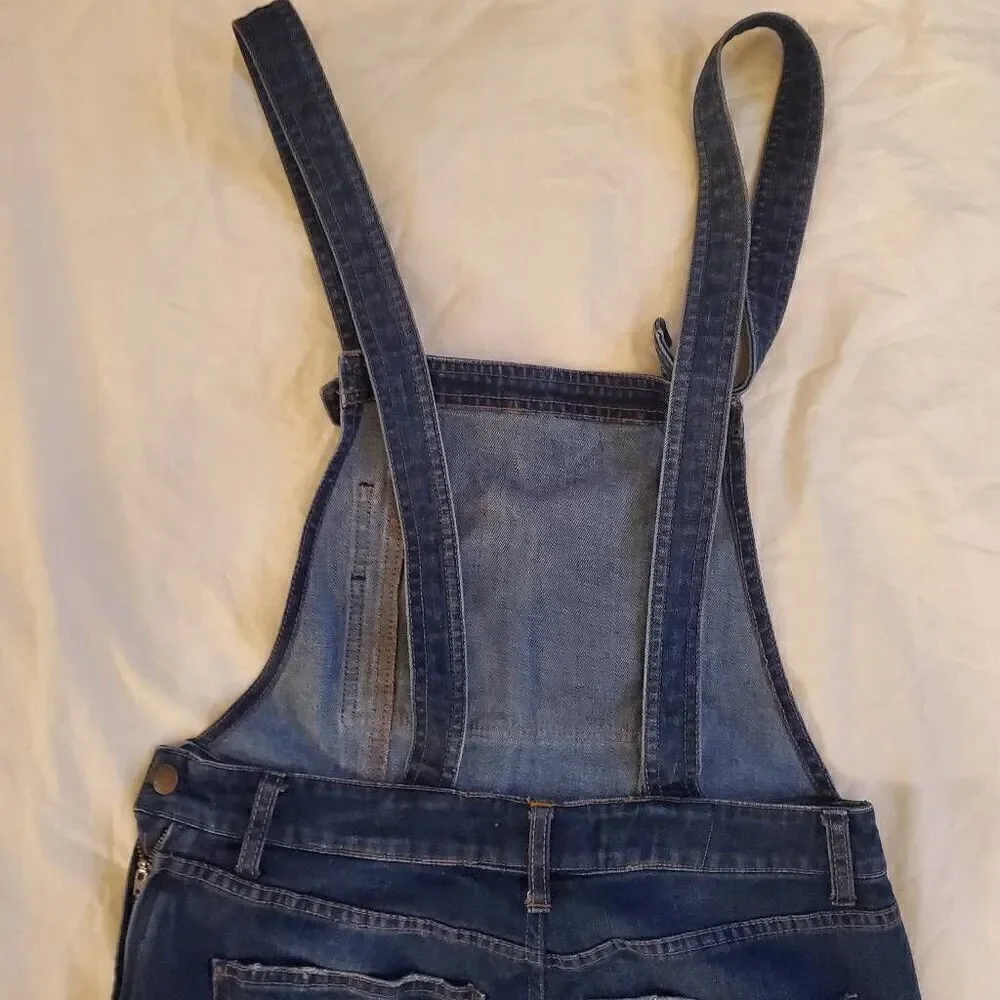 EUC Free People Blue Jean Overalls Size 30